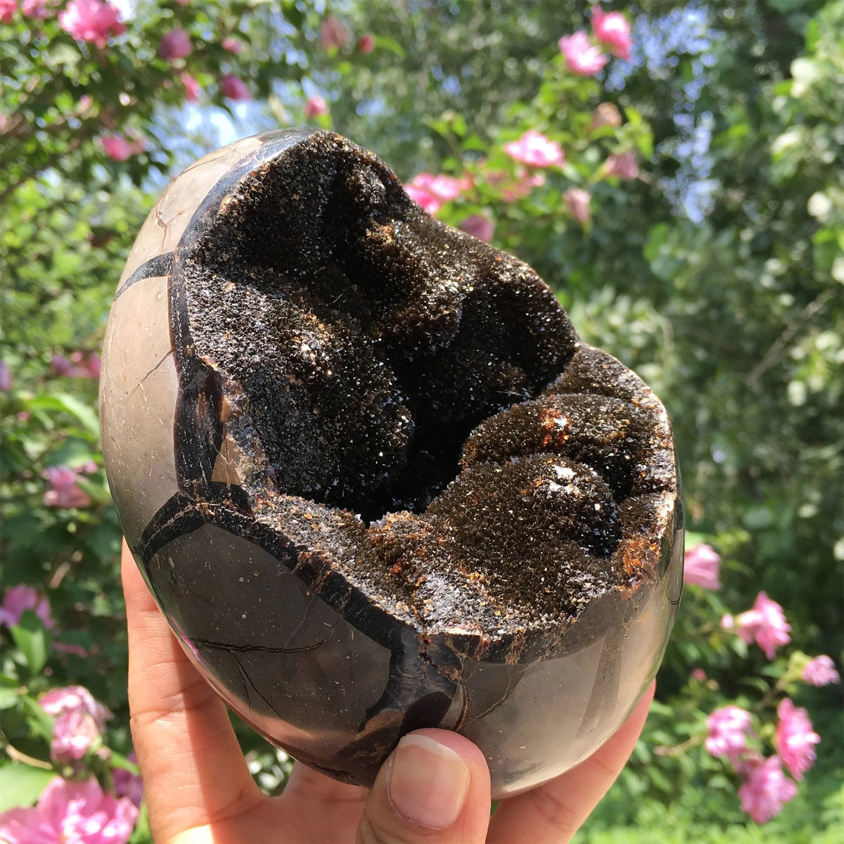 Natural Dragon Seven-Layer Crystal Egg – Raw Mineral Stone