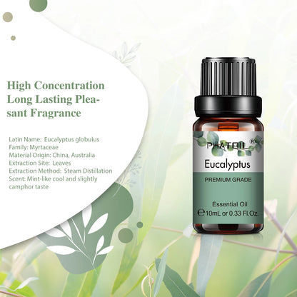PHATOIL Natural Plant Essential Oil 10ml Eucalyptus Lavender Bergamot Vanilla Peppermint 1PCS Aroma Essential Oils For Diffuser