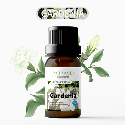 6PC/1PC 10ML Floral Fragrance Oils For Car Scents, Diffuser Scents Gift Set for Friends/Parent