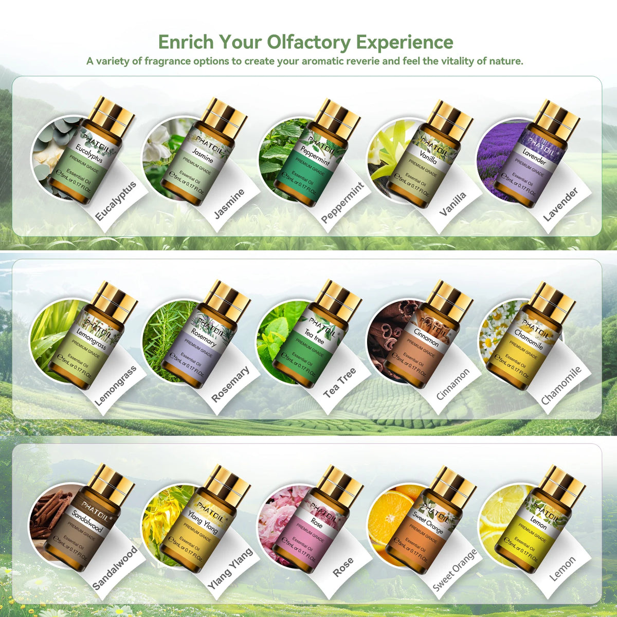 PHATOIL 15PCS Aromatherapy Essential Oils Gift Set For Diffuser Soap & Candle Making-5ml Cinnamon Lavender Eucalyptus Peppermint Lemon Vanilla Cinnamon Lemongrass Aroma Essential Oil