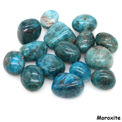 Natural Black Tourmaline Irregular Tumbled Stone Reiki Healing Crystal Energy Quartz Mineral Specimen Aquarium Home Garden Decor